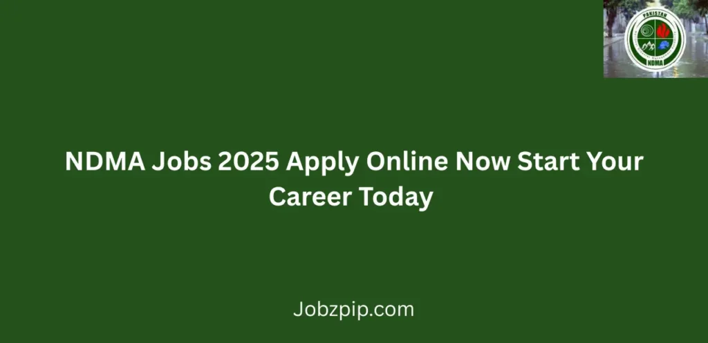 NDMA Jobs 2025 Apply Online Now Start Your Career Today 
